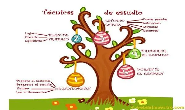 II>★★★★ Técnicas: estudio primaria - Recursos educativos y ...