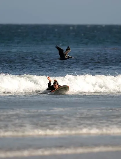 Il pellicano e il surfista - La foto del giorno - Corriere della Sera