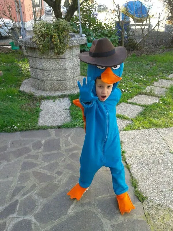 Il mio Perry l'ornitorinco 2 (Perry the platypus sewn by me) | Perry the  platypus, Platypus, Costumes