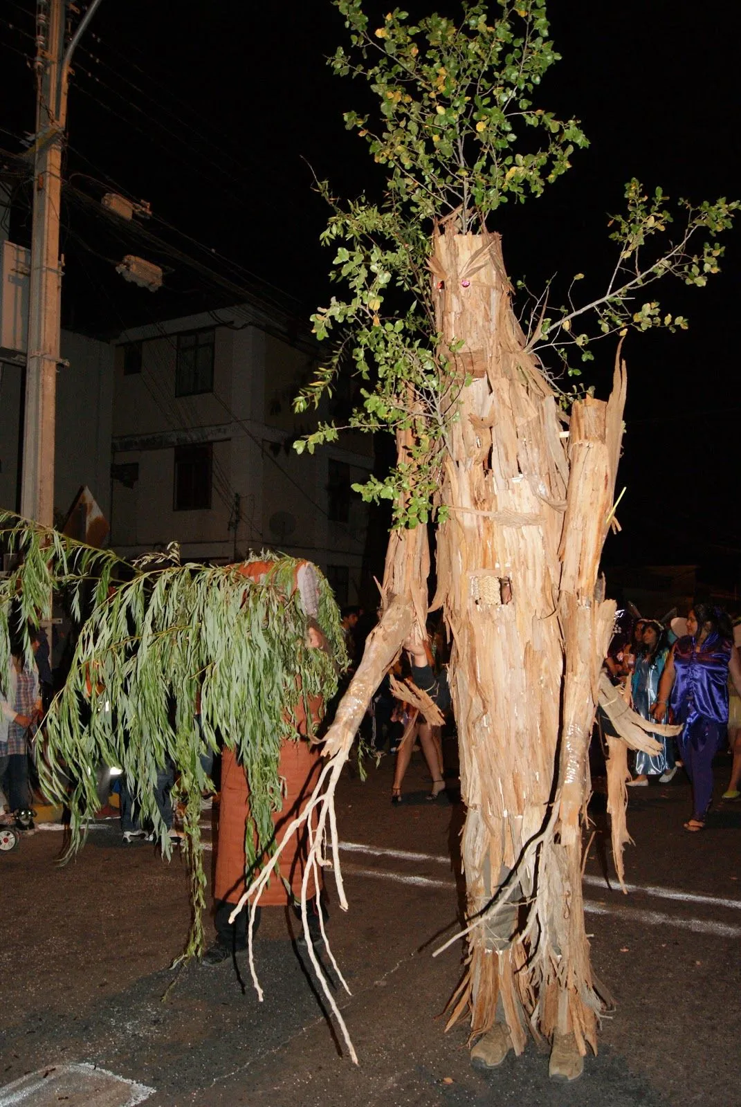 Illapel: CARROS ALEGÓRICOS Y COMPARSAS ANIMARON FARÁNDULA DE ...