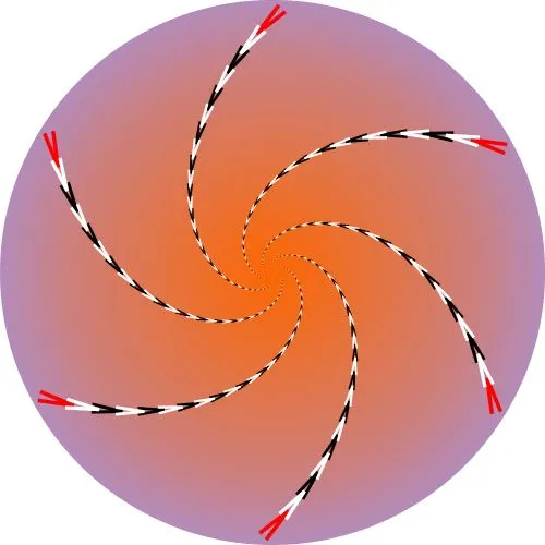 Muchas Ilusiones opticas en movimiento. - Taringa!