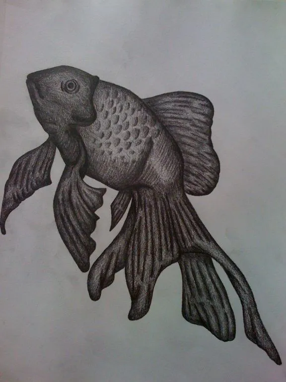 Animales al carboncillo - Imagui