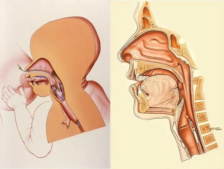 La nueva Ilustración Evolucionista / The new Evolutionary ...