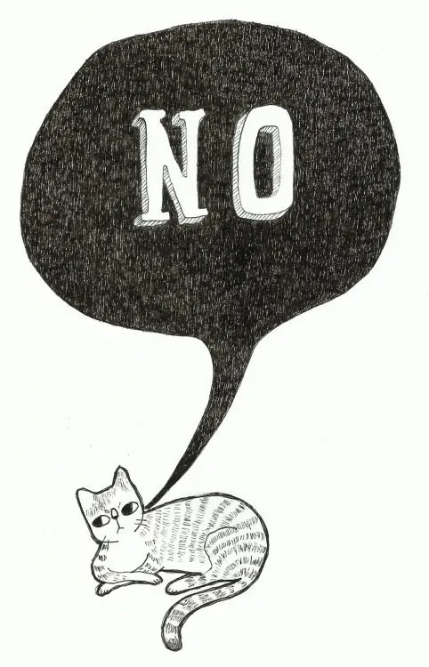 ilustracion gato | Tumblr