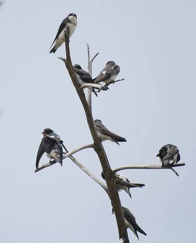 Im genes de enamorados pra enviar por pin - ruwhoresti31's soup