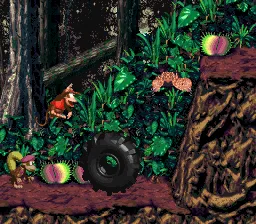 Image - Maldicion de selva.png - Donkey Kong Wiki