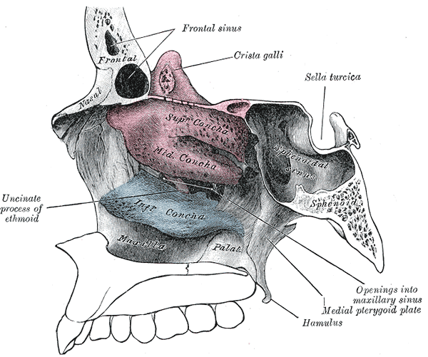 image153.gif