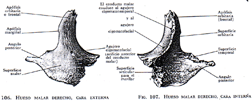 Image6.gif