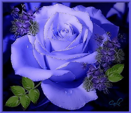 Imagem para face gif animado de flor rosa com toque azul e efeito 1631