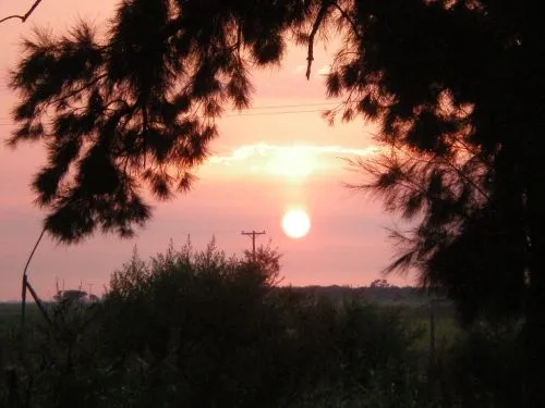  ... Imágenes de Grupo de Fotografía > Amanecer en el campo