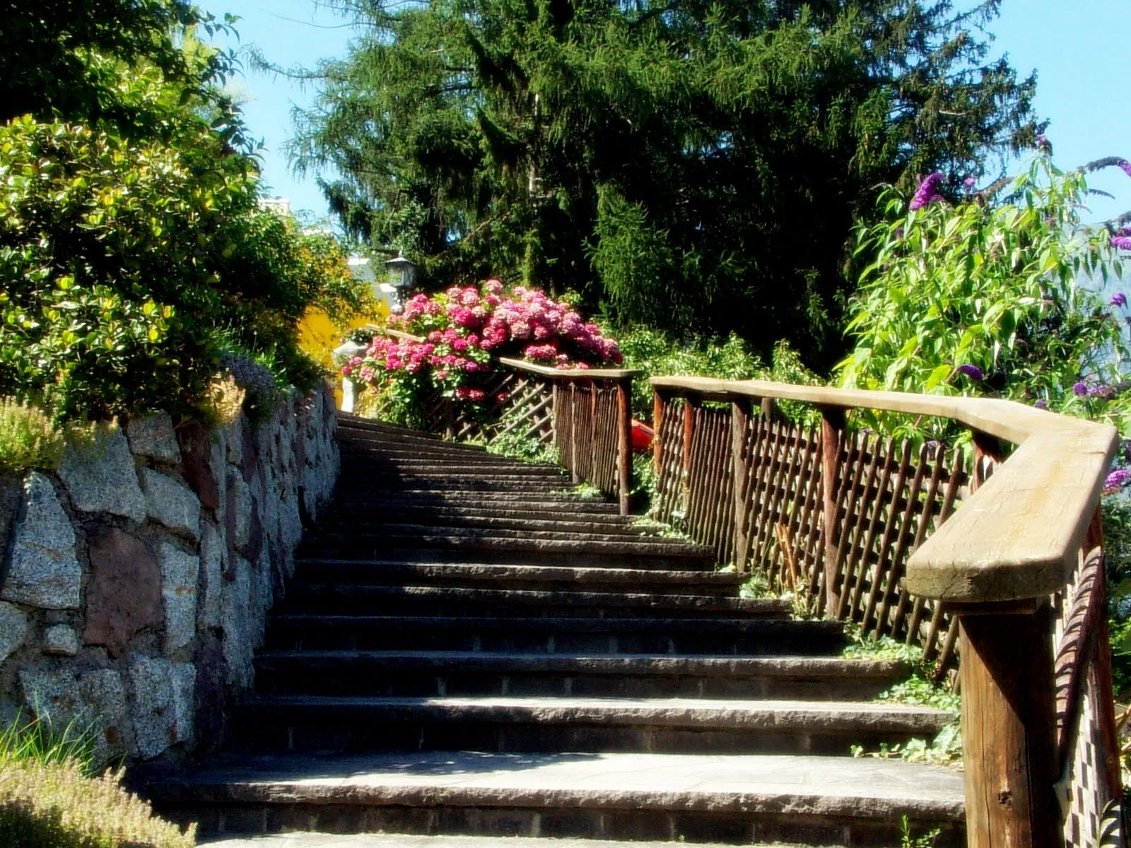 FotoFrontera: La escalera y las flores del jardín