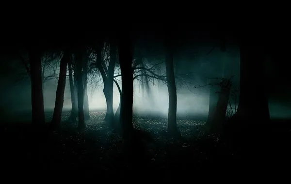 Imagen - Bosque-tenebroso.jpg - Wiki Creepypasta