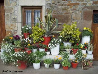 imagen cmo hacer bonitas del campos flores animadas imgenes hacer