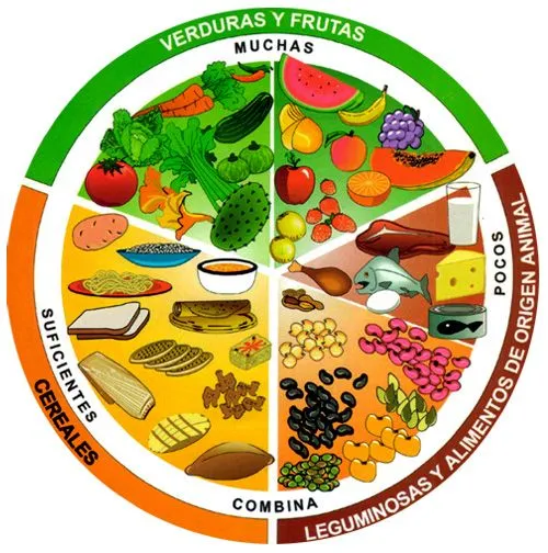 Material didáctico | cultura de la salud mx