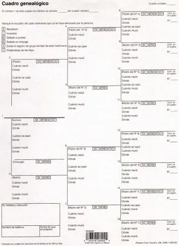 Imagen Cuadro genealógico - grupos.