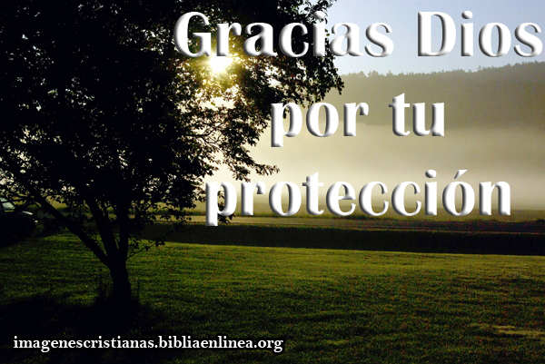 Imagen: Gracias Dios por tu protección - Imagenes Cristianas