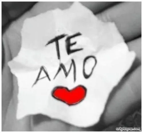 Te amo | Imagenes Tiernas - Imagenes de Amor