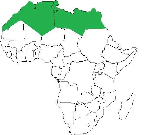 Imagen - Mapa mudo africa.jpg - Historia Alternativa