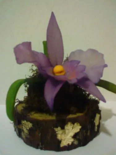 Imagen Orquidea en porcelana fria - grupos.emagister.com