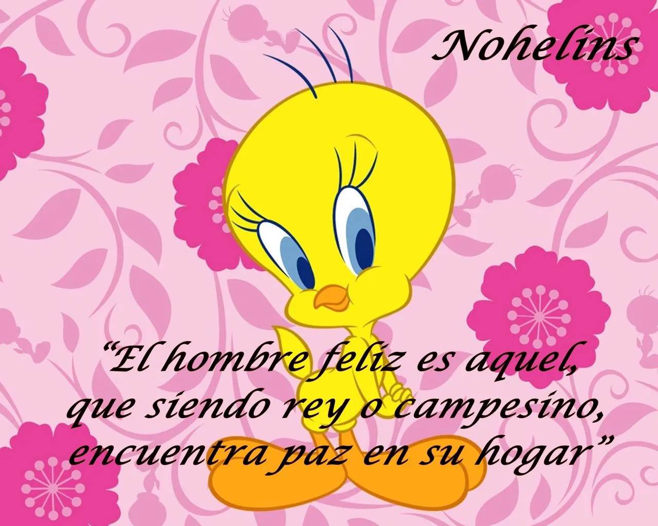 Imagen De Piolin Con Frases De Amor