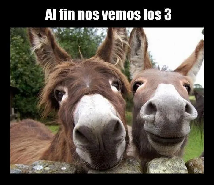 Imagen de reencuentro graciosa | Chistes y humor