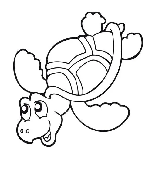 Imagenes de tortugas marinas para dibujar - Imagui