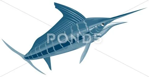 Imagen Vectorial de Pescado Pez Vela Viene Retro. | Gráficos e ...