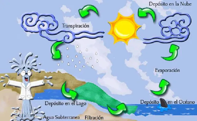 Seminario USFQ: Estados del agua