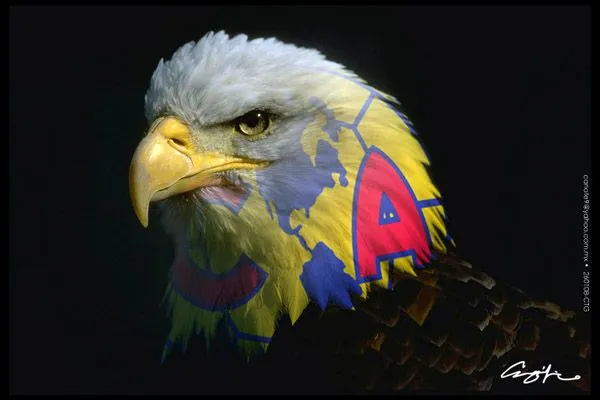 Aguila del america animada - Imagui