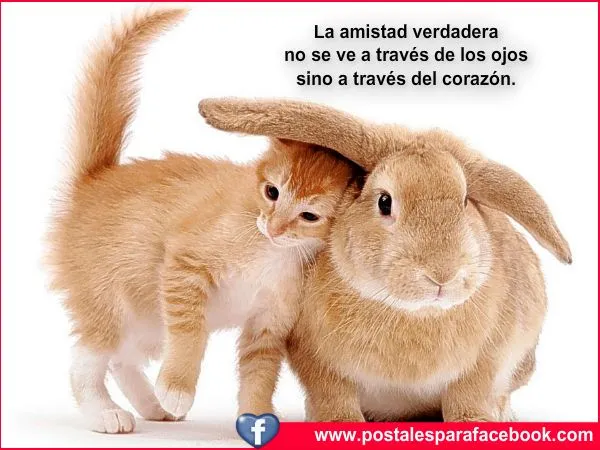 Imagenes de Amistad: verdadera para hi5