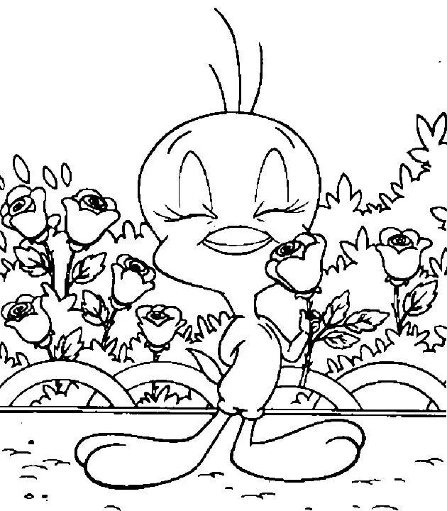 Imagenes de piolin de amor y amistad - Imagui