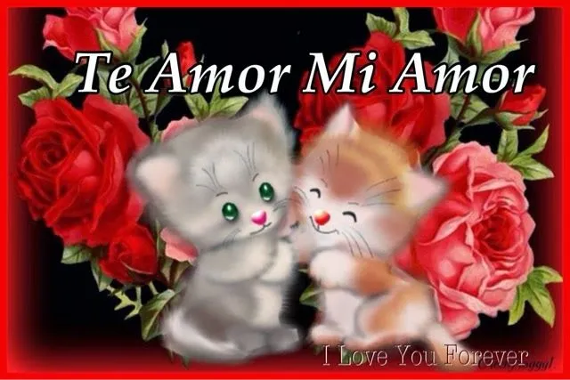 Cool Wallpapers HD: Te amo mi amor