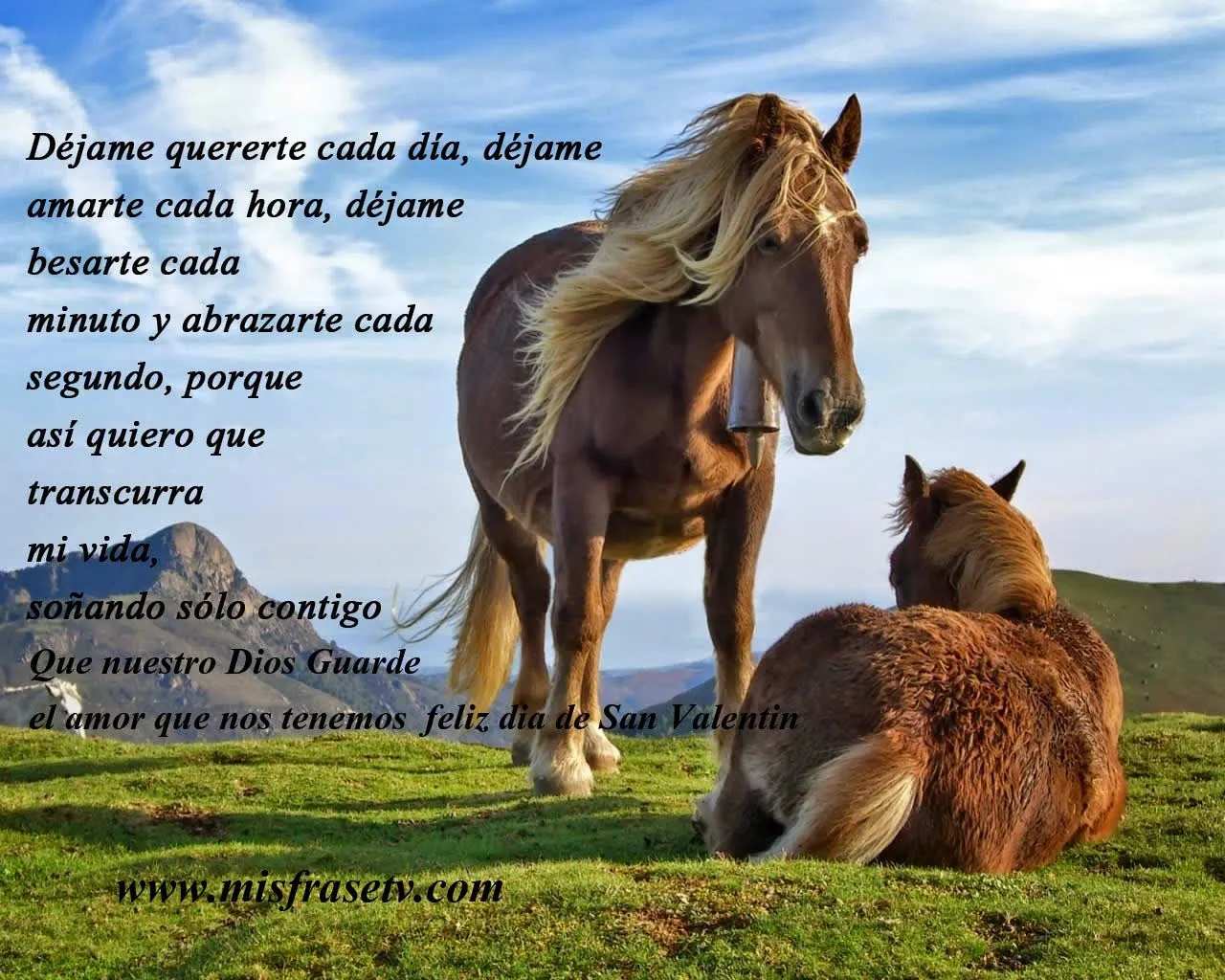 Imágenes de amor con caballos para imprimir ~ Imagenes lindas de amor