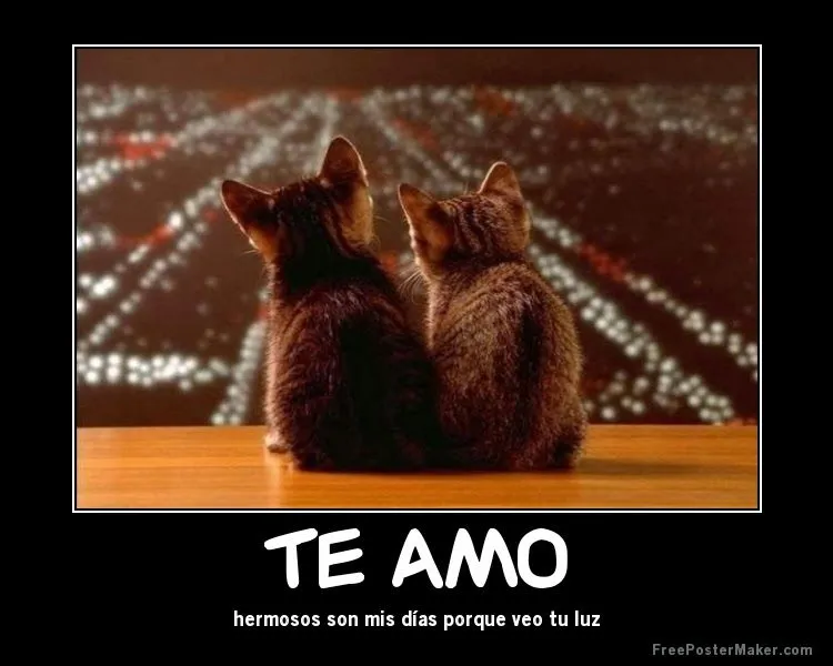 Imagenes de Amor gratis: Imagenes de amor con frases gratis para ...