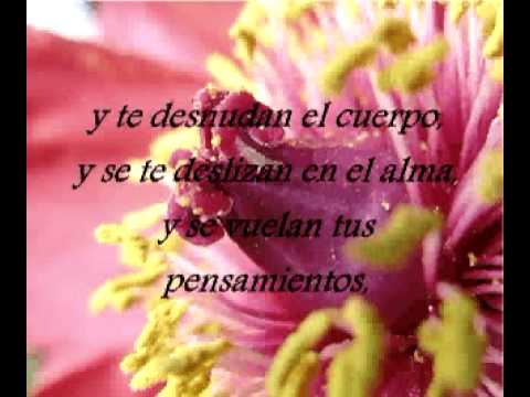 Imagenes de amor HD: imagenes con poemas cortos de desamor