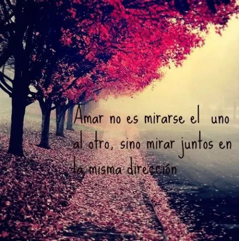 Imagenes de amor - Página 6 de 213 - Imagenes de amor con frases ...