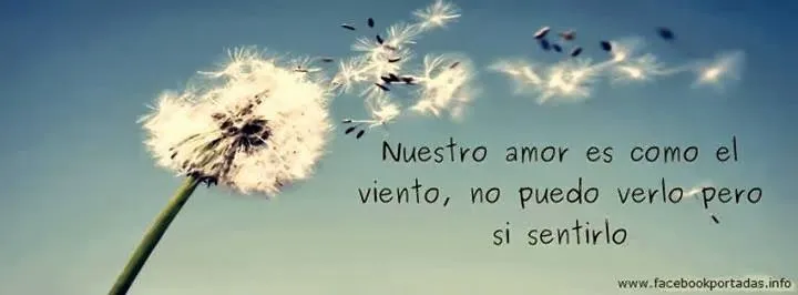 ver imagenes de amor online desmotivaciones con frases poemas ...