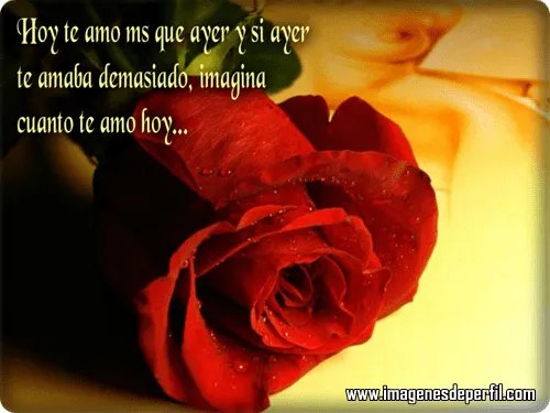 Imágenes de amor rosas y frases - Imagenes de Perfil para Facebook ...