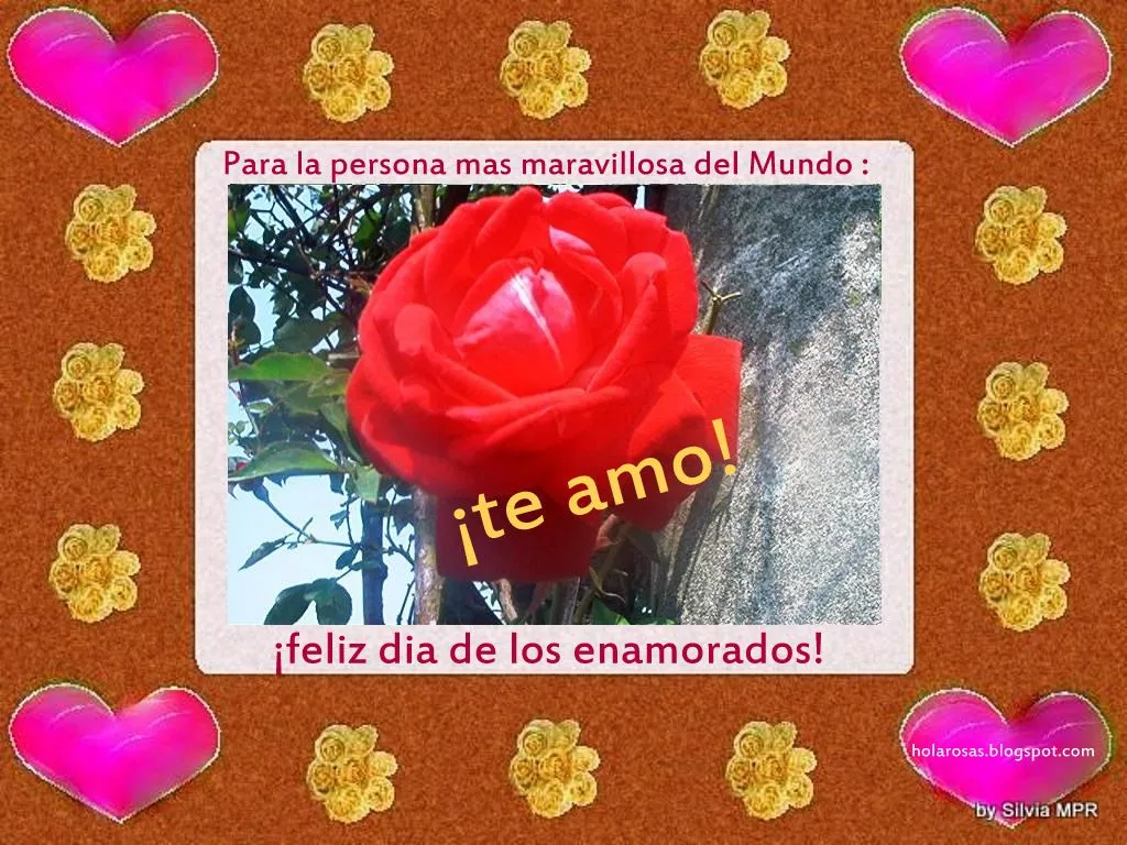 Imagenes de amor rosas rojas te amo regalos virtuales San Valentin ...