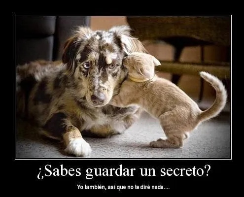 Imágenes de amor secreto para mi amante - Frases De Amistad