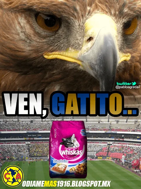 Imagenes animadas de america vs pumas - Imagui