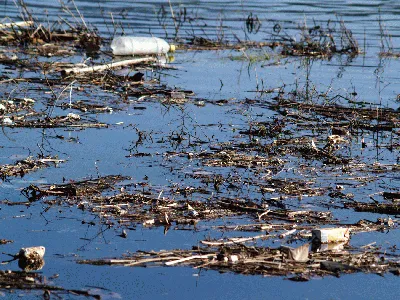 Contaminación de las aguas continentales | cmcb1asomian