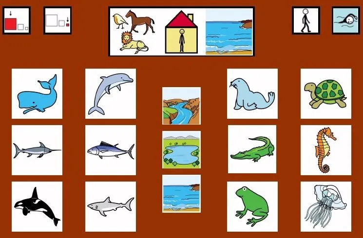 Animales terrestres y acuáticos para niños - Imagui
