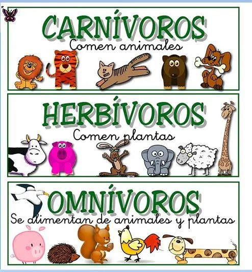 CARNÍVOROS, HERBÍVOROS Y OMNÍVOROS | Somos 2º A y B