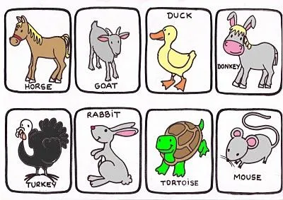 Imagenes De Animales Domesticos En Ingles | HikeTheGap.