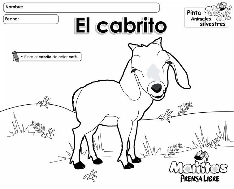 Imágenes de animales y frutas para colorear | Un Recurso Más