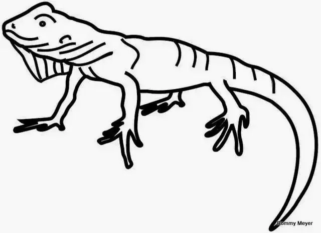 imagenes de cosas y animales con la letra a