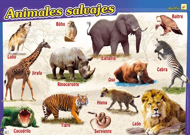 Nombres de los animales salvajes en inglés - Imagui