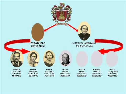 Arbol genealogica de la familia - Imagui