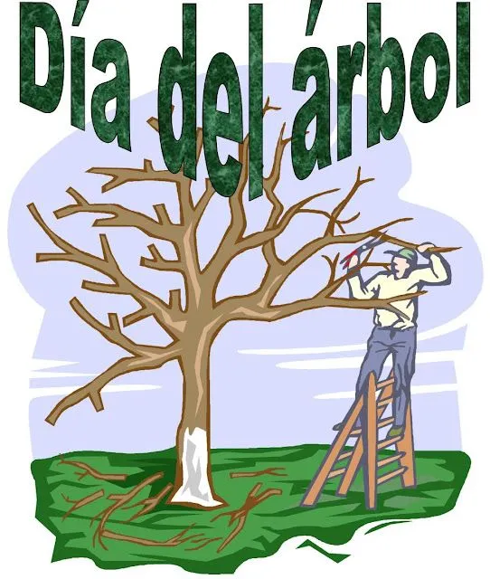 COSAS DE 6º: DÍA DEL ÁRBOL